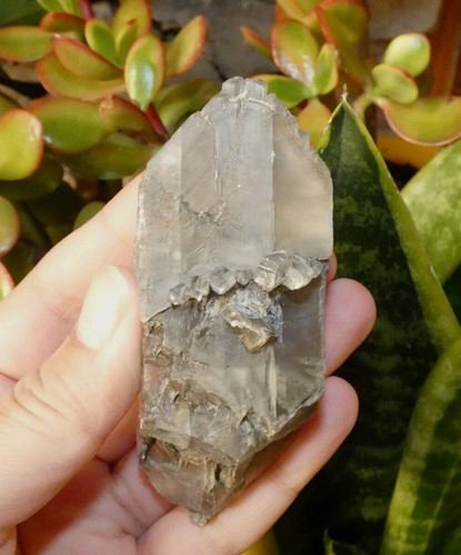 Gypse inclusions monteynard - gypse,