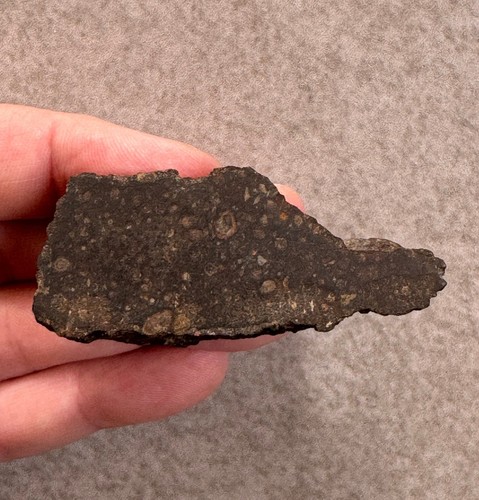 Meteorite chondrite ck5 nwa - meteorite,