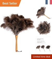 Plumeau Élégant en Plumes
