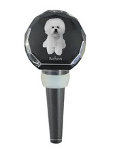 Bichon Frisé, Bichon Bouclé