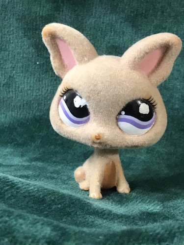 Petshop chien chihuahua - 🌺petshop,