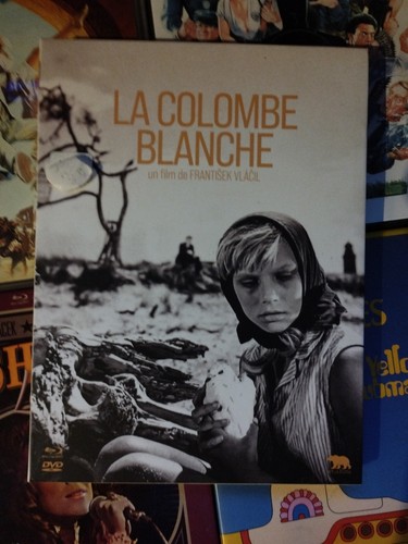 Colombe blanche combo - colombe,