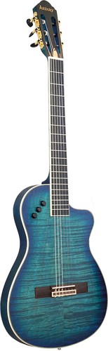 Guitare électro classique - guitare,