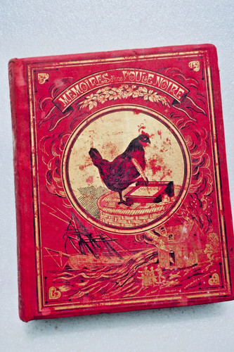 Poule mémoires une - poule,