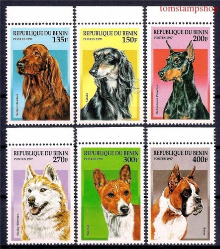 Bénin 1997 chiens irlandais - chiens,