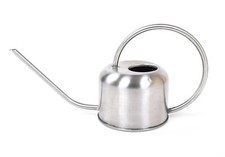 Arrosoir En Acier Inoxydable 0,8 Litres Arrosoir À Fleurs Arrosoir À Eau