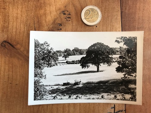 Photographie ancienne materiel - ancienne,