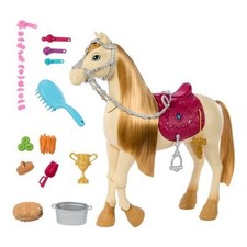 Mattel Cheval Mystères La Grande Chasse Au Cheval Danse Et Spectacle BARBIE