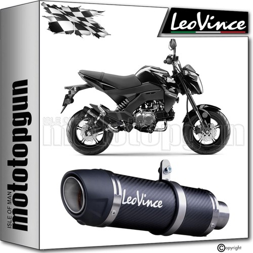 Leovince ligne complete - complete, gp
