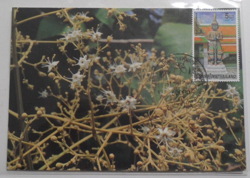 Stampmart thailand tectona - thailand,