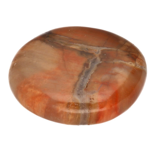 Pierre bois fossilisé - fossilisé, |