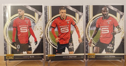 Panini iconz lot stade - iconz,