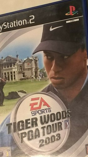 Tiger woods pga tour 2004 - tiger,