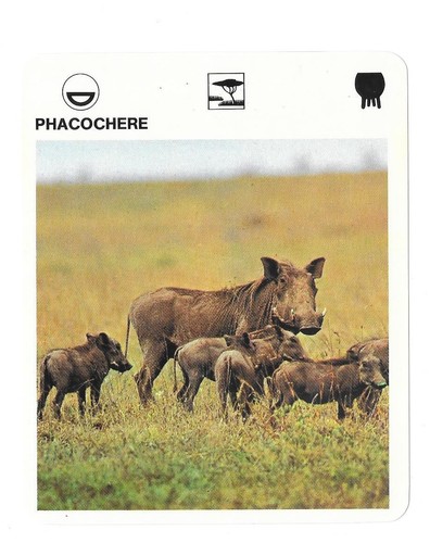 Fiche livre paris - fiche,