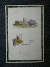 dessin aquarelle originale