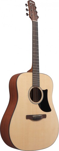 Ibanez aad50 guitare - aad50-lg, folk