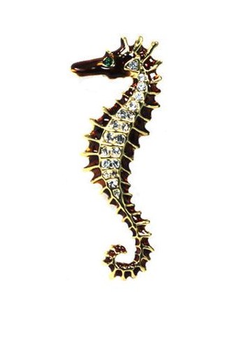 Transparent scintillant - transparent,