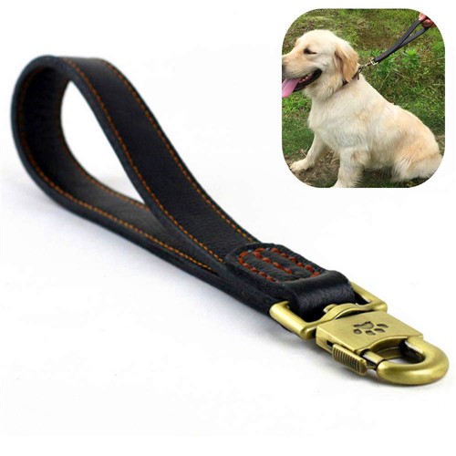 Courte laisse pour chien - , en
