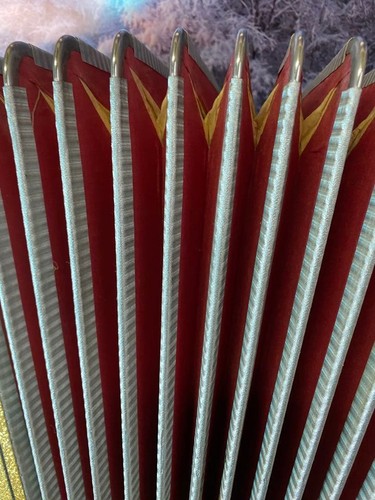 Paolo soprani accordion 41 - paolo,