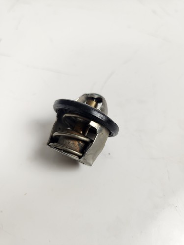 Calorstat thermostat liquide - calorstat,