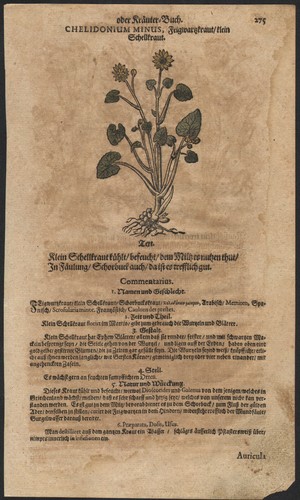 1663 rare planche gravures - rare,