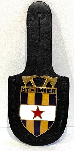 Pucelle insigne medaille - insigne,
