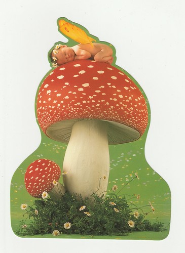 Bebe anne geddes - anne, carte