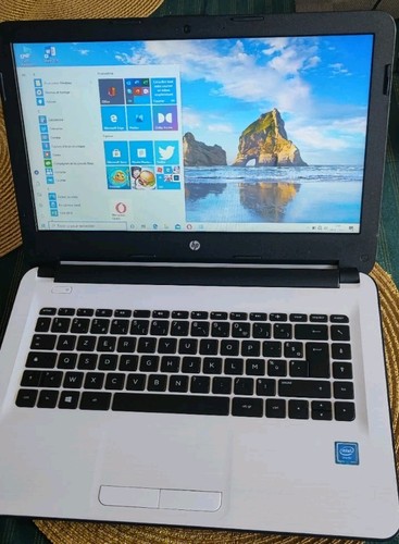 Notebook windows - hp,