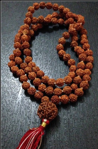 Six mukhi visage rudraksha - mukhi,