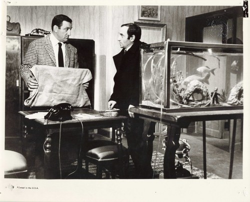 Photo 1965 metamorphose - 1965,