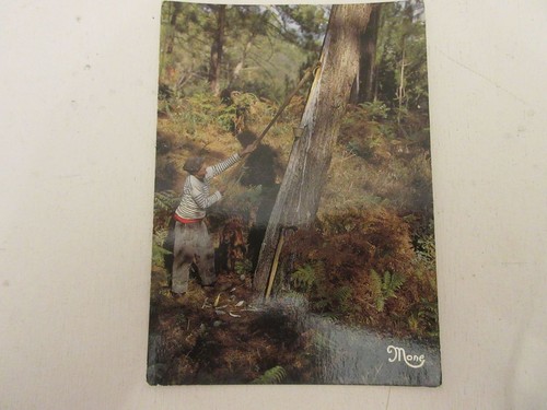 Carte postale landes la - postale,