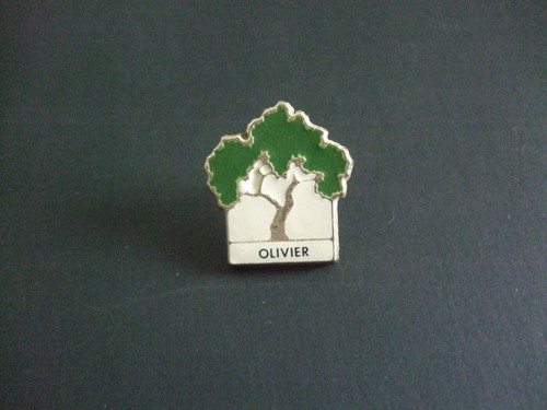 Pins arbre olivier derriere - pins,