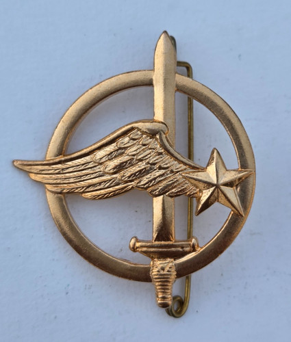 Commandos air insigne - commandos, de