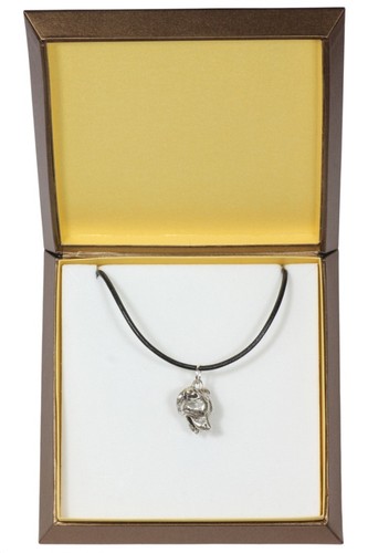 Staffy type collier - type,