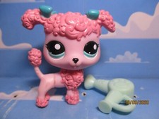 PETSHOP CHIEN CANICHE N°1956 + ACCESSOIRE D'ORIGINE / " EDITION SPECIALE "