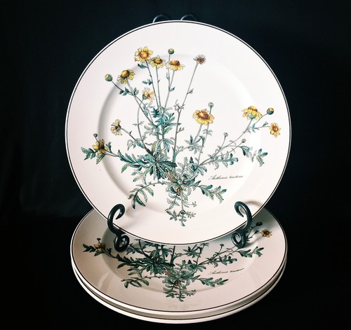 Villeroy boch botanica - &,