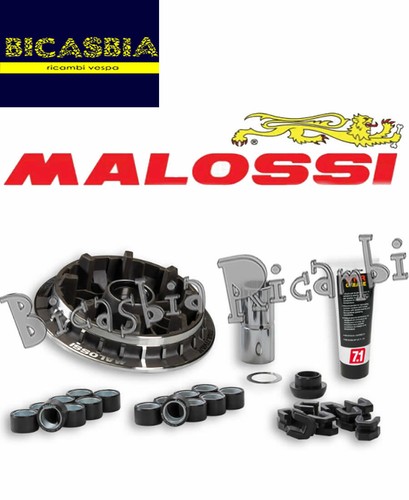 12916 variateur malossi - -,