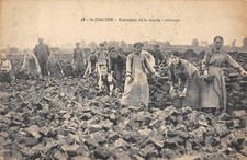 CPA 44 SAINT JOACHIM / EXTRACTION DE LA TOURBE / RELEVAGE