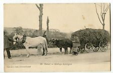 CPA - ROYAT 68 ( Puy de Dôme ) attelage Auvergnat - mixte cheval + boeufs