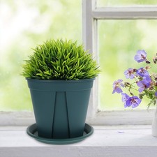  10 Sets Pot Pour Orchidées