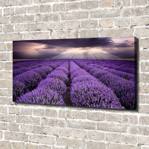 Tulup image sur toile tableau - tulup,