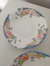 6 Assiettes Vintage Arcopal Florine