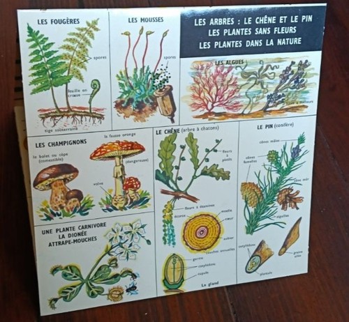 Affiche scolaire planche - affiche,