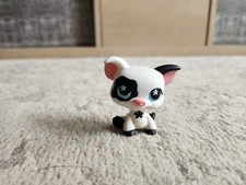 Petshop cochon noir et blanc