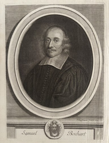 Van schuppen gravure xviie - schuppen,
