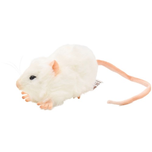 Peluches réalistes hansa rat - peluches,