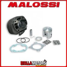 317002 CYLINDRE KIT MALOSSI