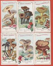 16 CHROMOS - CHOCOLATERIE