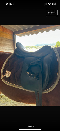 Selle dressage stubben - de,