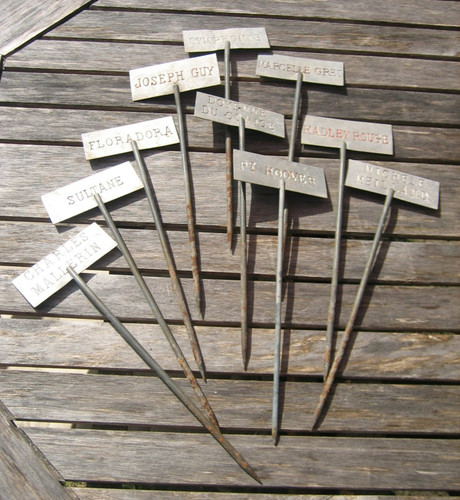 Piquets porte etiquette - piquets,